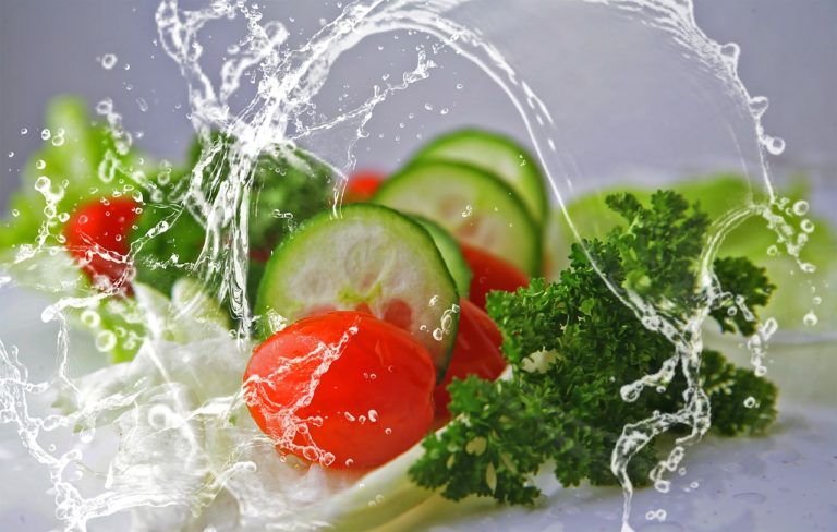 Lire la suite à propos de l’article Régimes végétariens : risques de carences ou bénéfices santé ?
